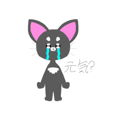 Kota rou_20260131232559