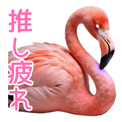 Otaku Burnout: Wasted Flamingo