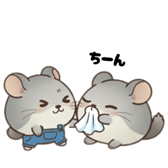 Busajiroo_20260131235151