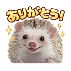 Michiko_20260201004609