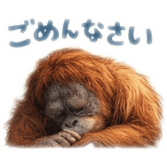 Messenger from Sunday_20260201013114