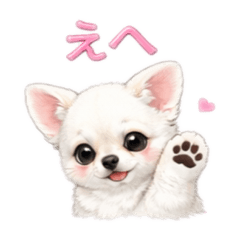 NMSNK_20260201012232