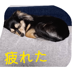 yskwRn_20260201164338