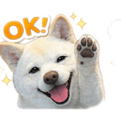 yukan_20260201163826