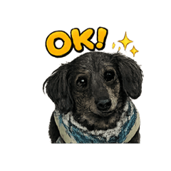 Raika_20260201165623