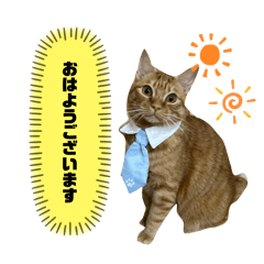 chika_20260201165542