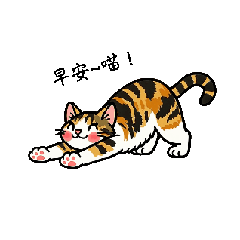 六月貓✧早安✧