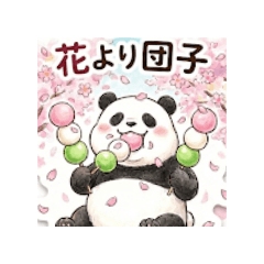 pandakko_20260201100512