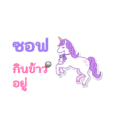 Soft_20260201163840