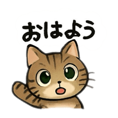 Yukari_20260201114601