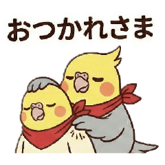 オカメインコ♪ずっと使える、優しいオカメ