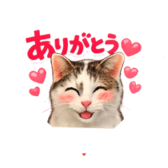 JOHEI_20260201164239