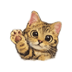 Chihiro_20260201172317