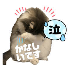 hito hito_20260201173107