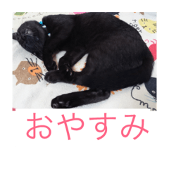 MU MU-REO REO2