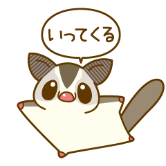 Cute sugar glider(a word) white face