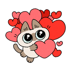 Siamese cat AZUKI-SAN