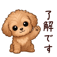 Toy Poodle: Polite Daily Conversations