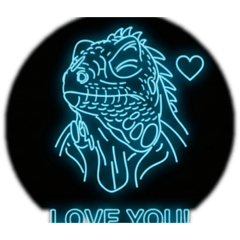 Poecilotheria_20260201120518