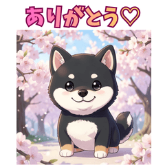 Shiba Inu & Cherry Blossom LINE Stickers