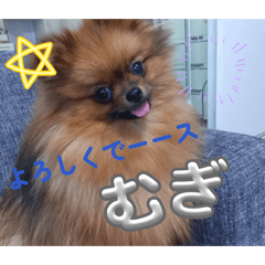 Shiori_20260201180011