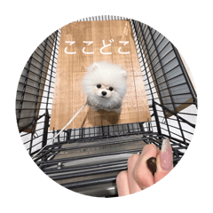 Nakachan_20260202153626