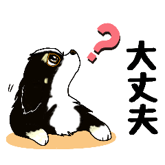 shige_20260202151510