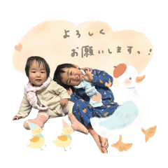 puchitoma_20260201181101