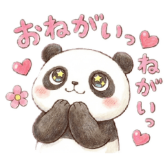 pandakko_20260201151831