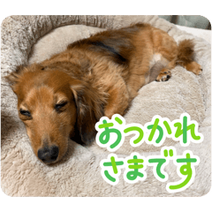 Marison_20260201155509