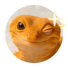 annin_20260201152201