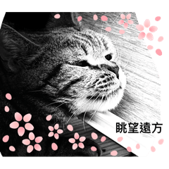 三百萬幸福胖虎5