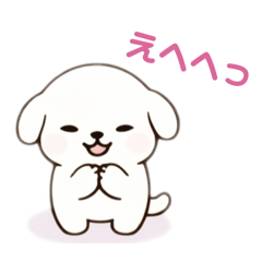 kinako_20260201160643