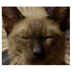 HUNNAAASOOO_20260202095450