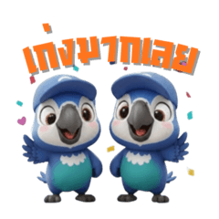 P & M_20260202111107