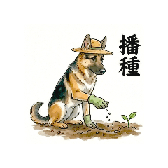 小阿財的日常用語-植物繁殖篇