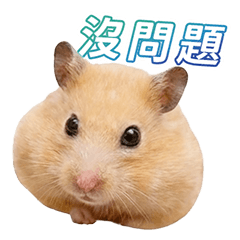 哺啾 的生活日常