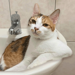 我叫啾吉，今年一歲