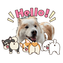 sakura_20260201160329