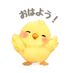 kotori_20260201163555