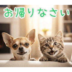 PAKAMOGOLY_20260201182854