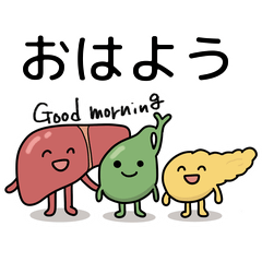 Liver, Gallbladder, and Pancreas vol 1.1