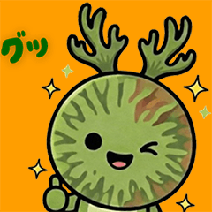 Ridley-chan the Platycerium