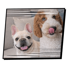 阿包&弟弟 的點滴