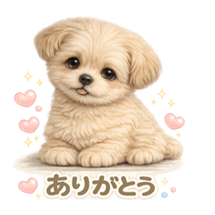 Eto_chihuapoo