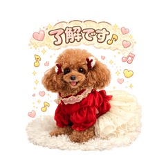 song june_20260201184554