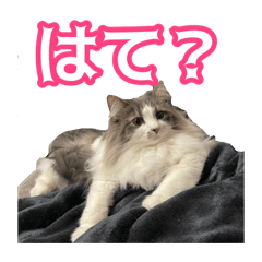 Asuka_20260201184639