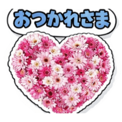 hiitan_20260201184858