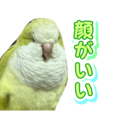Tokiya_20260201185848