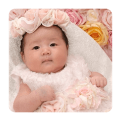 ARISA_20260201185814